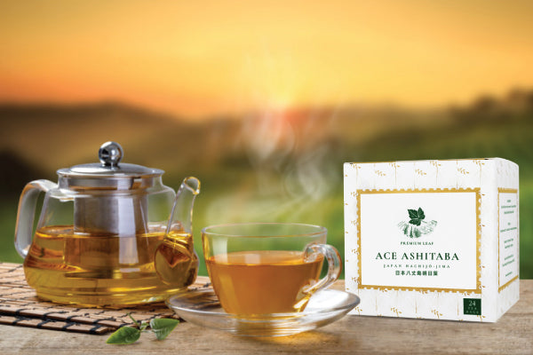 The Quest for Lost Vitality: Why ACE Ashitaba Leaf Tea is the Modern Health Savior