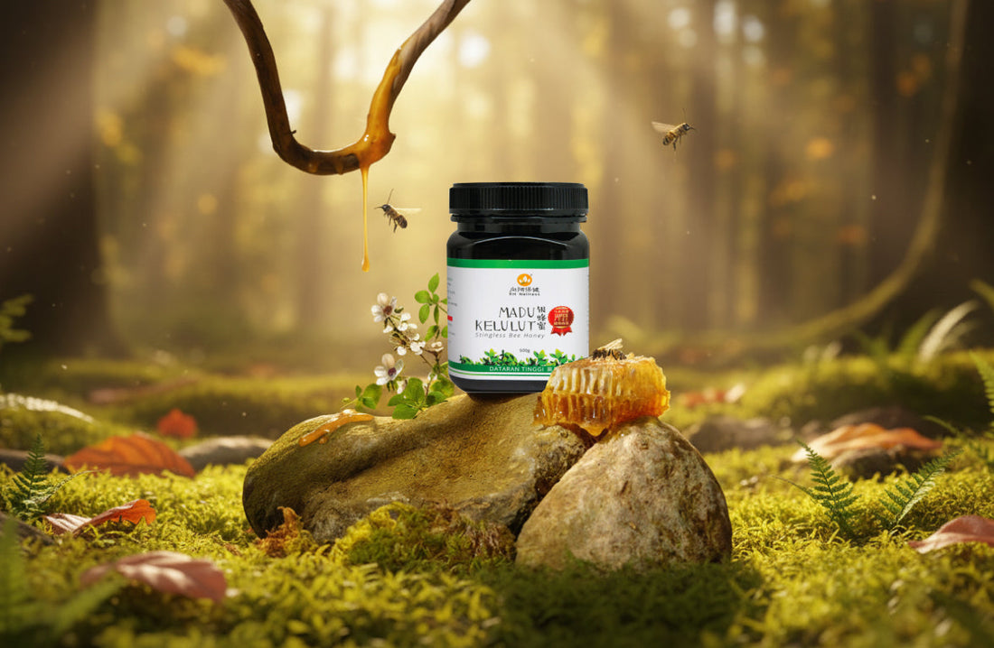 RH Stingless Bee Honey: A Natural Solution for Gut Health, Immunity, and Anti-Aging