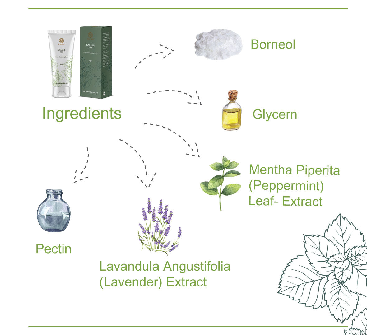 TruHerbs Galesie Cream