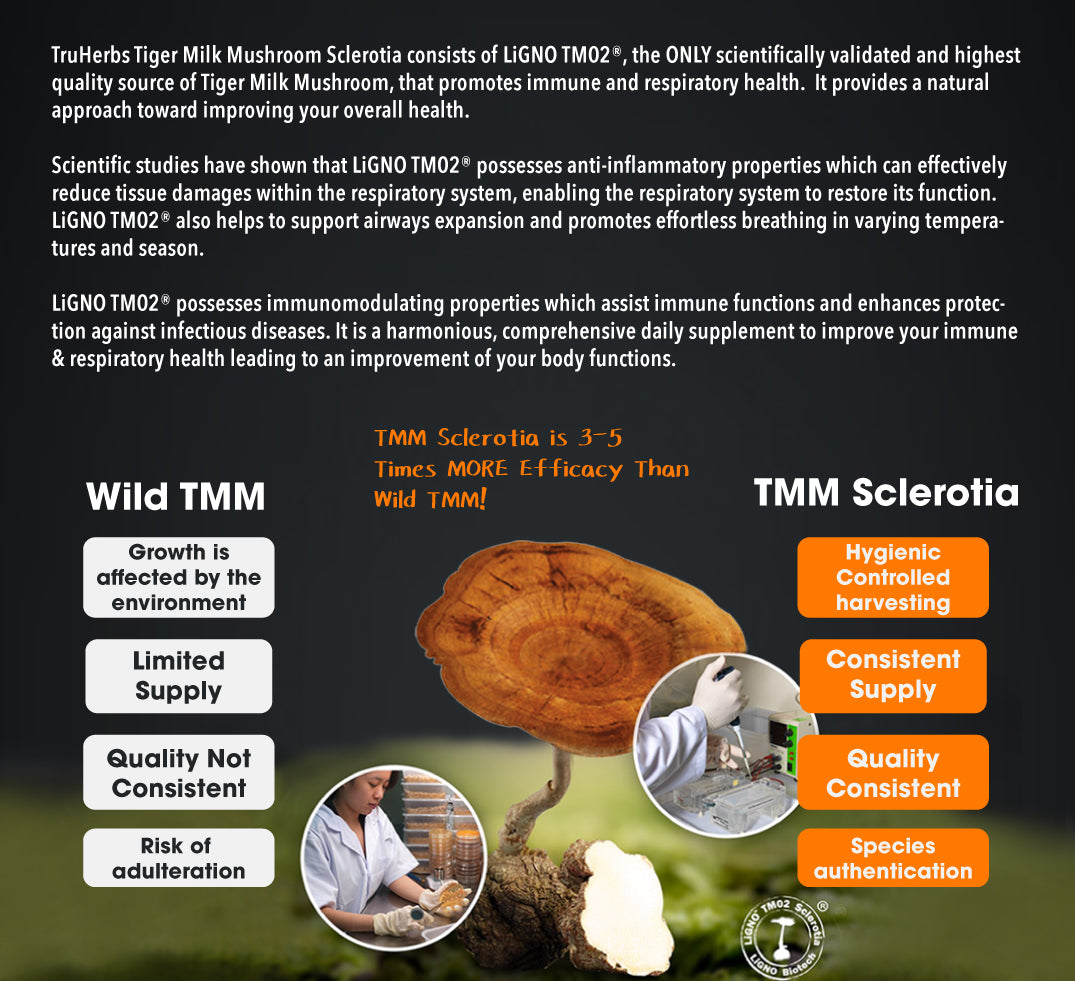 TruHerbs Tiger Milk Mushroom Sclerotia